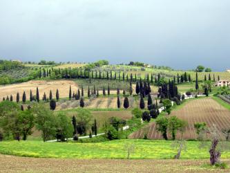 Rom - Assisi -Toskana 