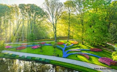 Eine Reise nach Holland & zum Keukenhof 