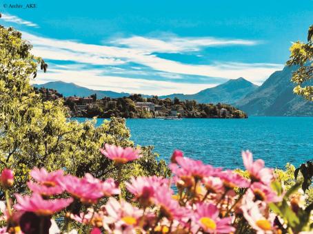 Frühling am Lago Maggiore 